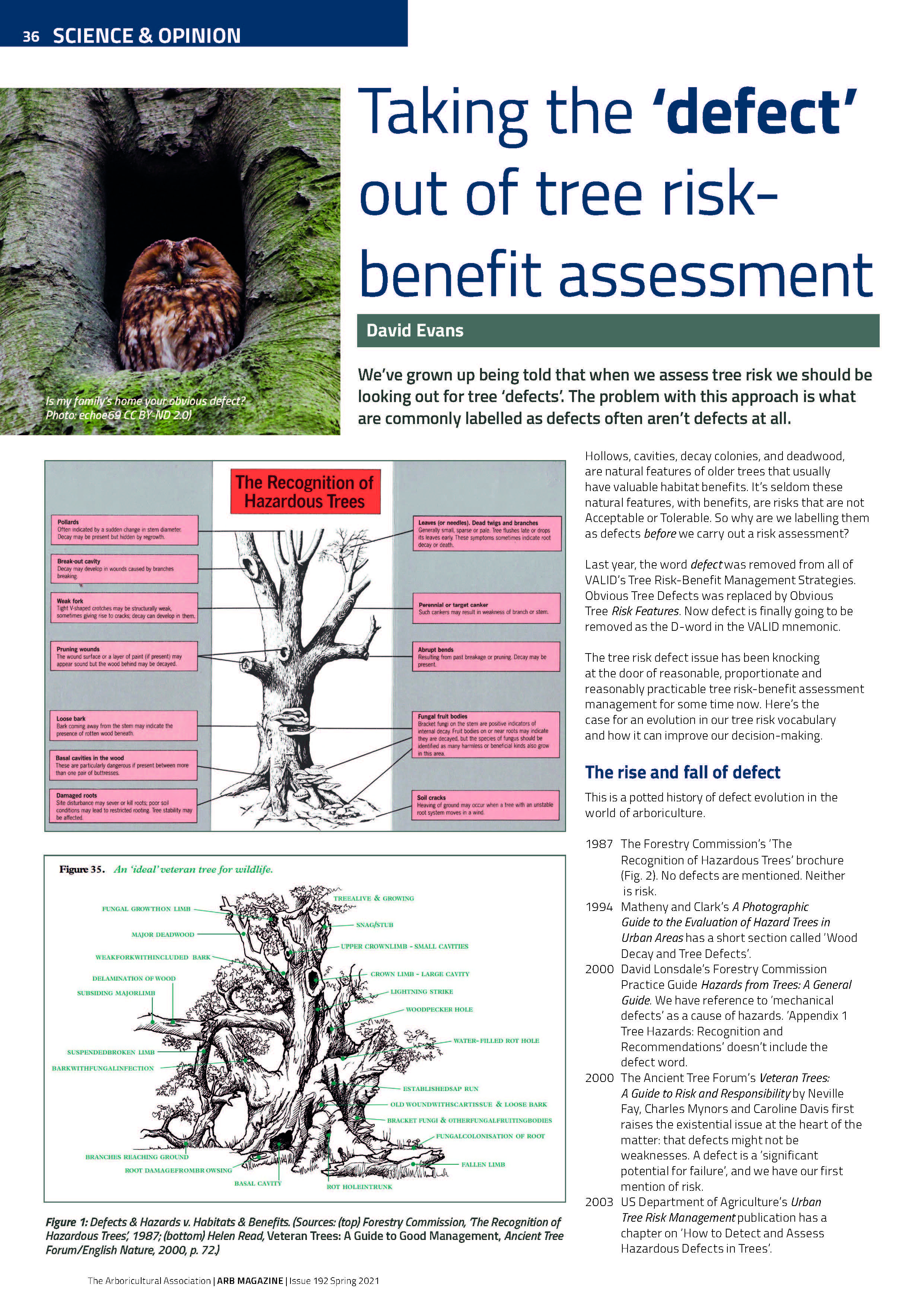 Tree risk defects | Taking the defect out of tree risk-benefit assessment