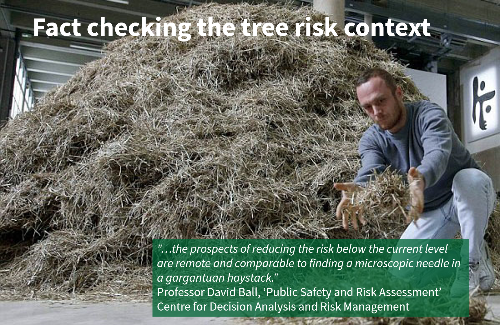 Tree risk management | Finding a microscopic need in a gargantuan haystack