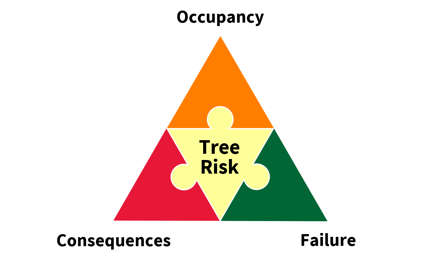 What is tree risk?